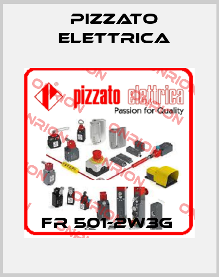 FR 501-2W3G  Pizzato Elettrica