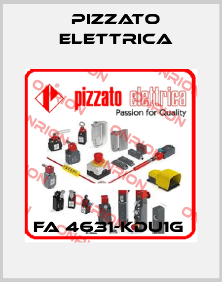 FA 4631-KDU1G  Pizzato Elettrica