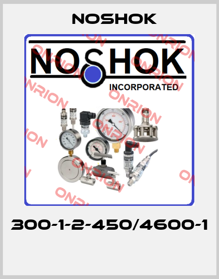 300-1-2-450/4600-1  Noshok