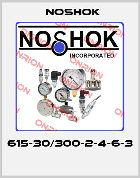 615-30/300-2-4-6-3  Noshok