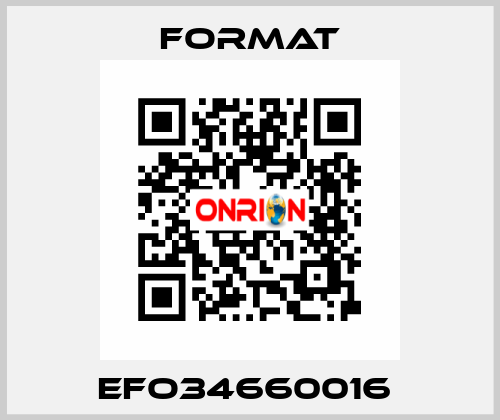 EFO34660016  Format