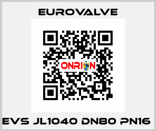 EVS JL1040 DN80 PN16  Eurovalve