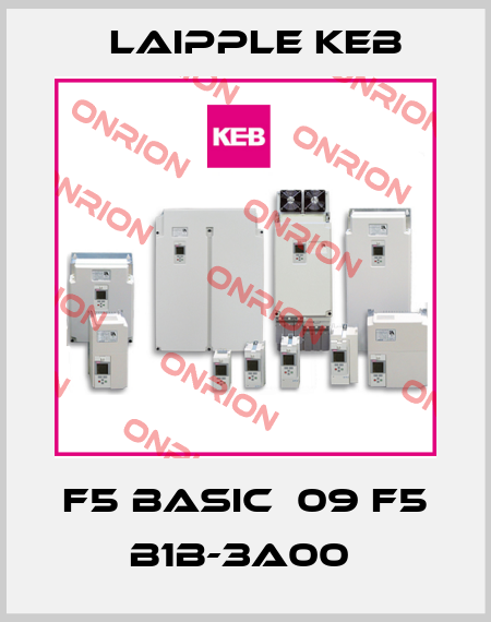 F5 BASIC  09 F5 B1B-3A00  LAIPPLE KEB