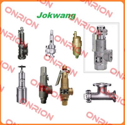 FF100-C-3/4"D1"-A11-212-CN2 8,5BARG  Jokwang