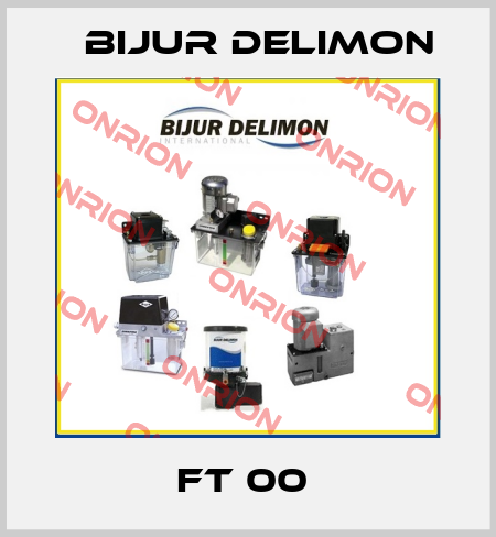 FT 00  Bijur Delimon