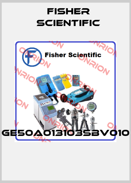 GE50A013103SBV010  Fisher Scientific