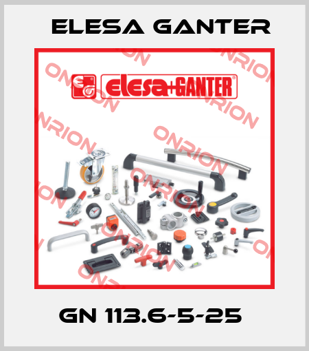 GN 113.6-5-25  Elesa Ganter