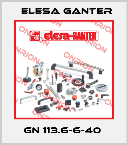 GN 113.6-6-40  Elesa Ganter