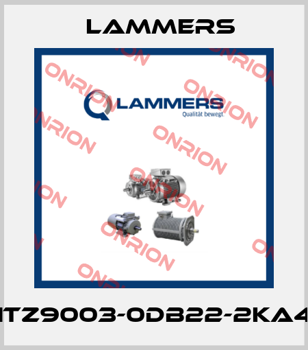 1TZ9003-0DB22-2KA4 Lammers