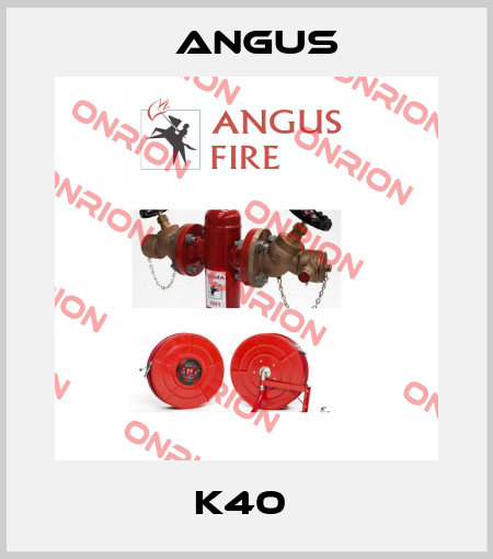 K40  Angus