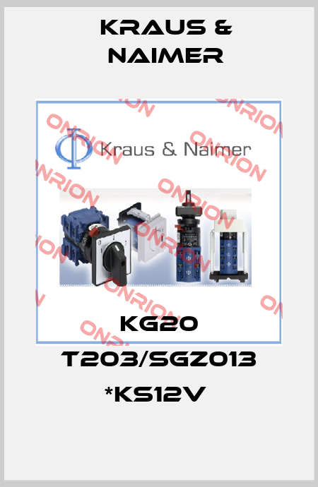 KG20 T203/SGZ013 *KS12V  Kraus & Naimer