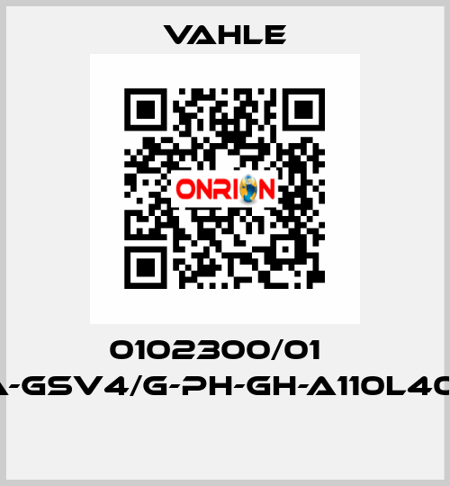 0102300/01    SA-GSV4/G-PH-GH-A110L40-16  Vahle