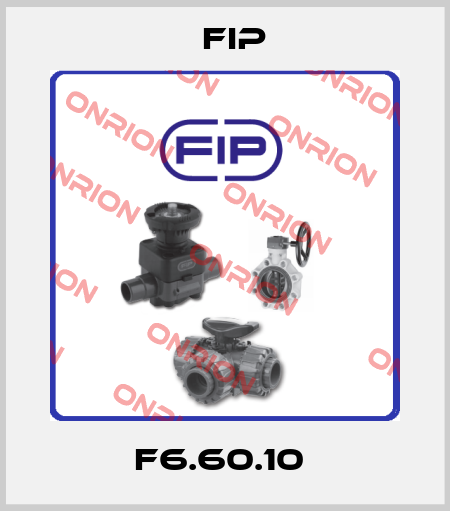 F6.60.10  Fip