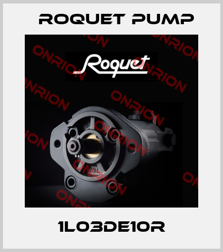 1L03DE10R Roquet pump