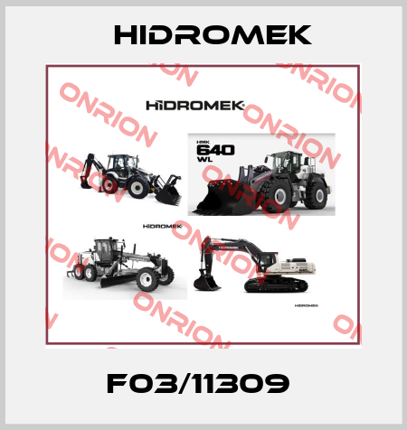 F03/11309  Hidromek