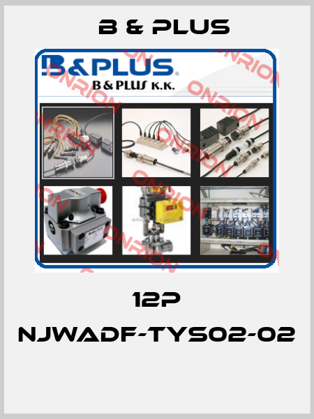 12P NJWADF-TYS02-02  B & PLUS