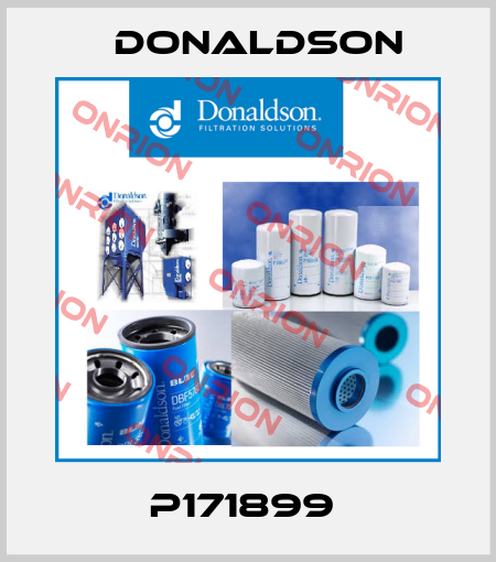 P171899  Donaldson