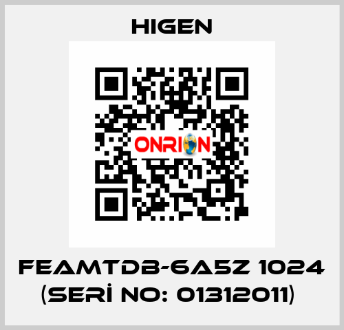 FEAMTDB-6A5Z 1024 (SERİ NO: 01312011)  Higen