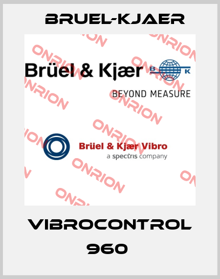 VibroControl 960  Bruel-Kjaer