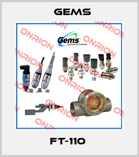 FT-110  Gems