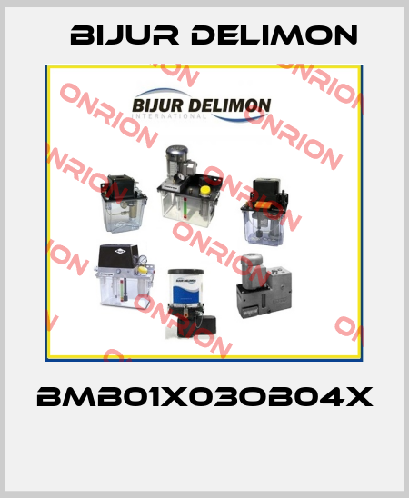 BMB01X03OB04X  Bijur Delimon