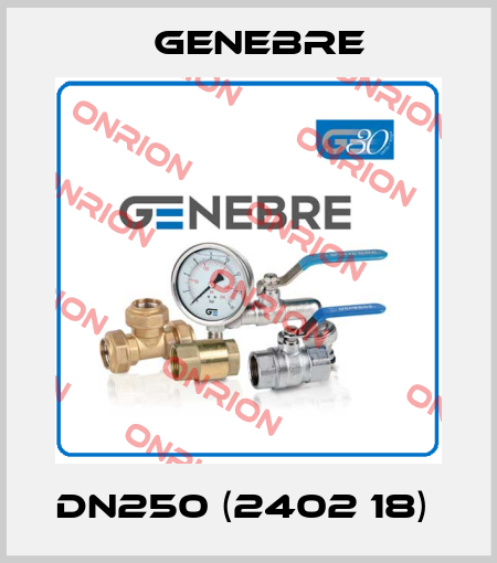 DN250 (2402 18)  Genebre