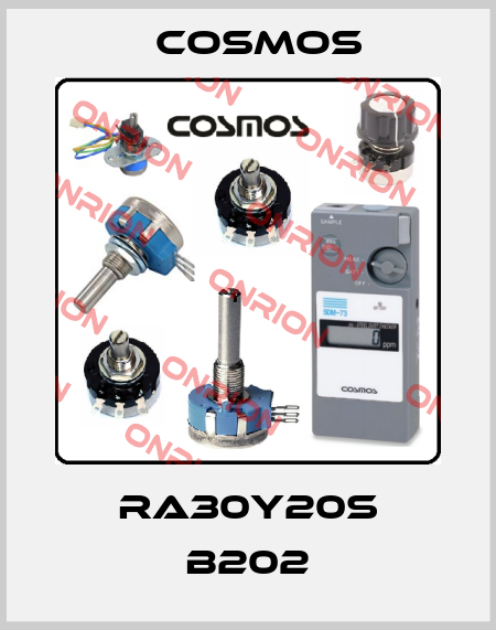 RA30Y20S B202 Cosmos