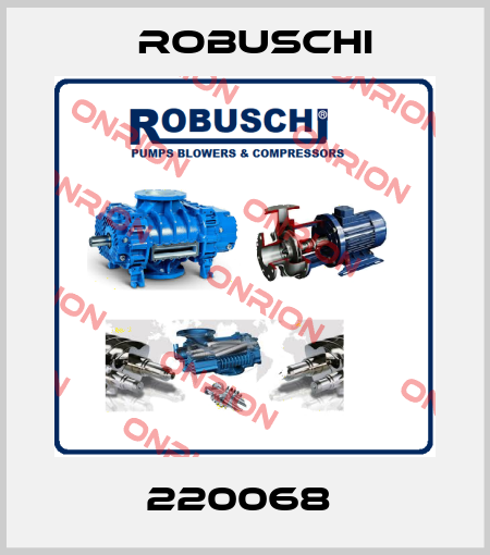 220068  Robuschi