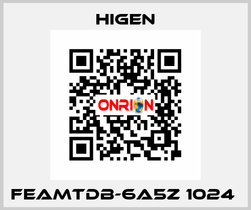 FEAMTDB-6A5Z 1024  Higen