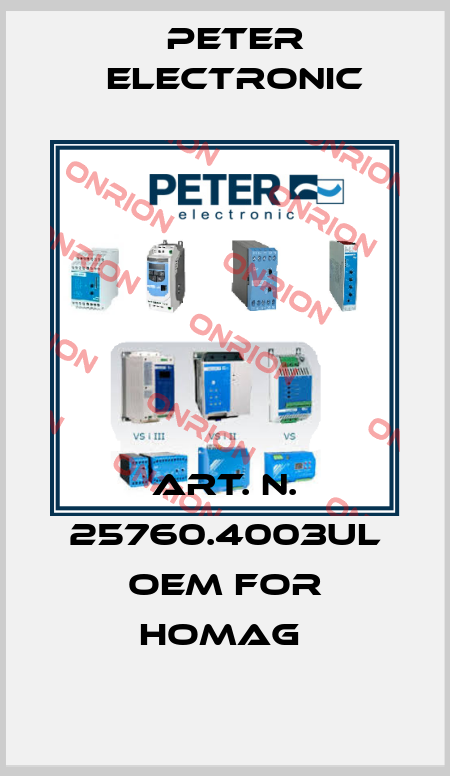 art. n. 25760.4003UL OEM for Homag  Peter Electronic