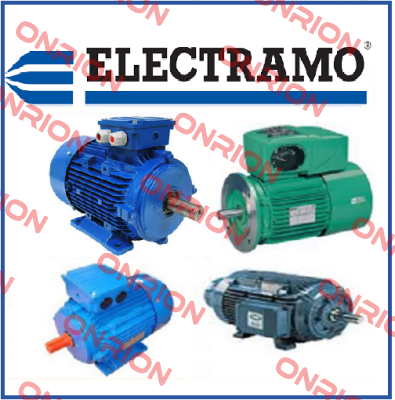 YE3-200L-4 Electramo