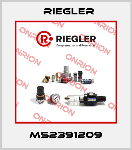 MS2391209 Riegler