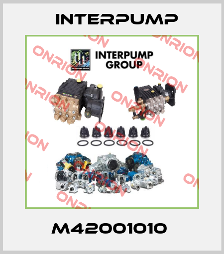 M42001010  Interpump