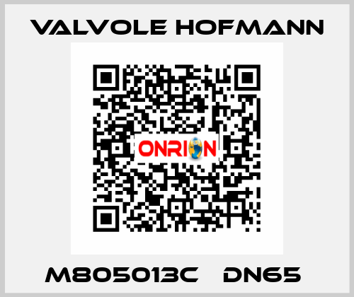 M805013C   DN65  Valvole Hofmann