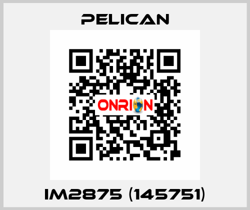 iM2875 (145751) Pelican