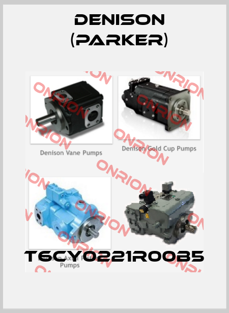 T6CY0221R00B5 Denison (Parker)