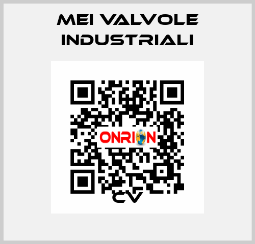 CV MEI VALVOLE INDUSTRIALI