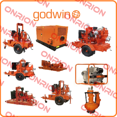 4306859912 Godwin Pumps