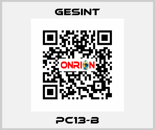 PC13-B Gesint