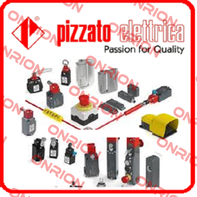 NG 2D1D411A Pizzato Elettrica