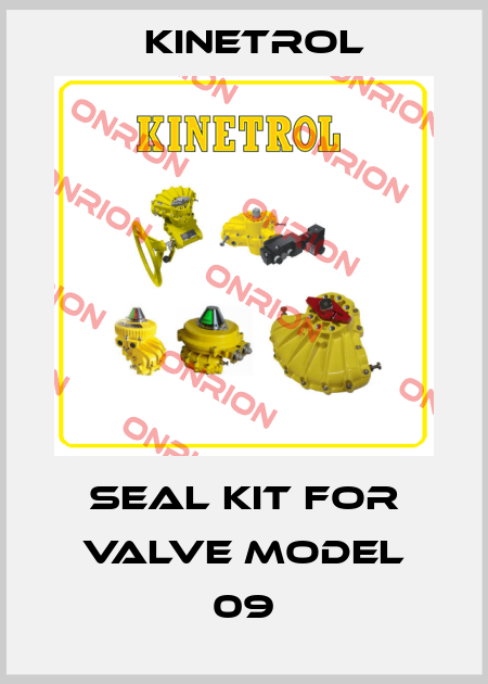 Seal kit for valve Model 09 Kinetrol