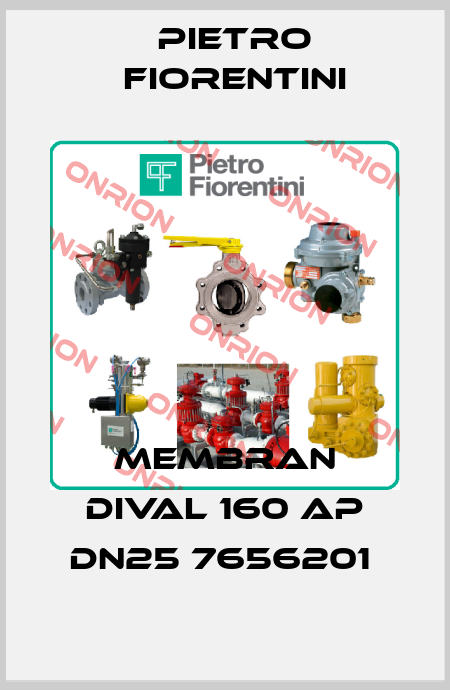 MEMBRAN DIVAL 160 AP DN25 7656201  Pietro Fiorentini