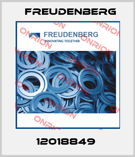 12018849  Freudenberg