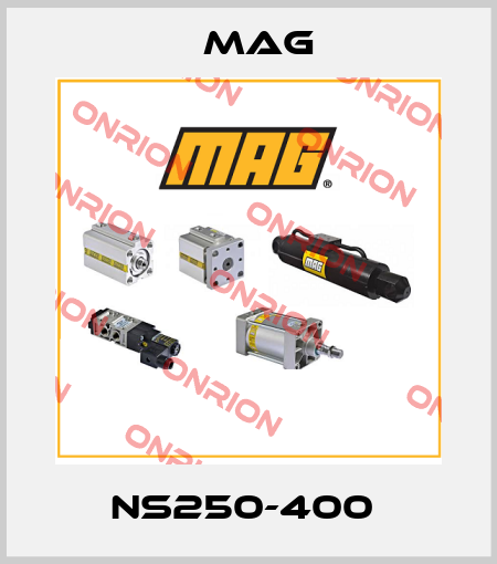 NS250-400  Mag