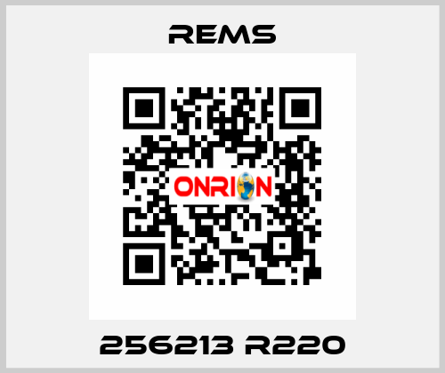 256213 R220 Rems