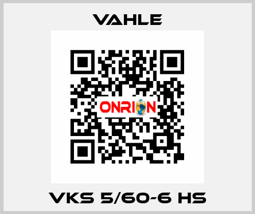 VKS 5/60-6 HS Vahle