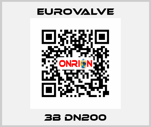 3B DN200 Eurovalve