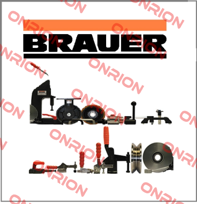 V250/2B Brauer