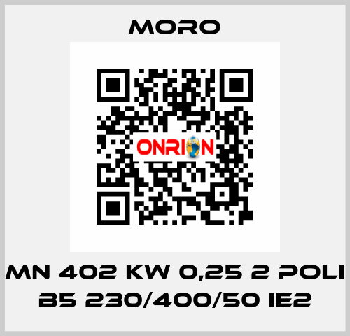 MN 402 KW 0,25 2 POLI B5 230/400/50 IE2 Moro