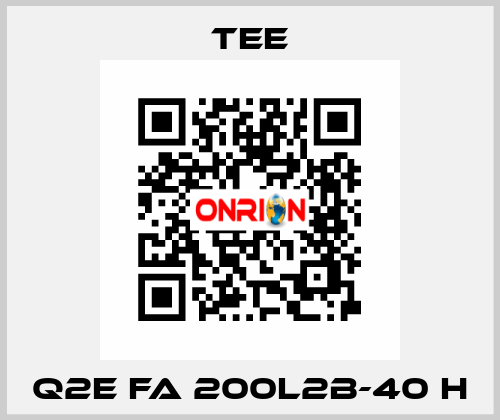 Q2E FA 200L2B-40 H TEE